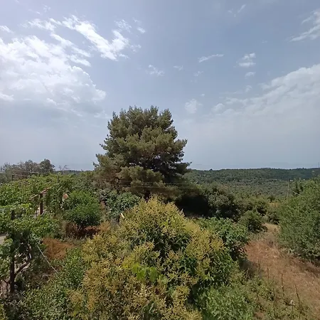 Irakli's Appartamento Vuno